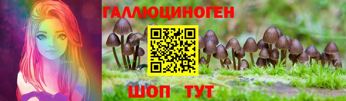 дарнет шоп  Галлюциногенные грибы Psilocybine cubensis  Вход с VPN  Красноуфимск  Псилоцибиновые грибы прущие грибы 